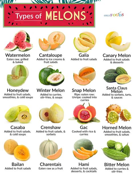 melons tue|Melons Types